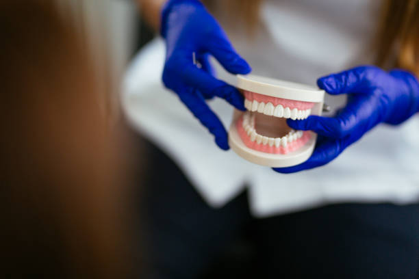 Best Teeth Whitening  in Seffner, FL