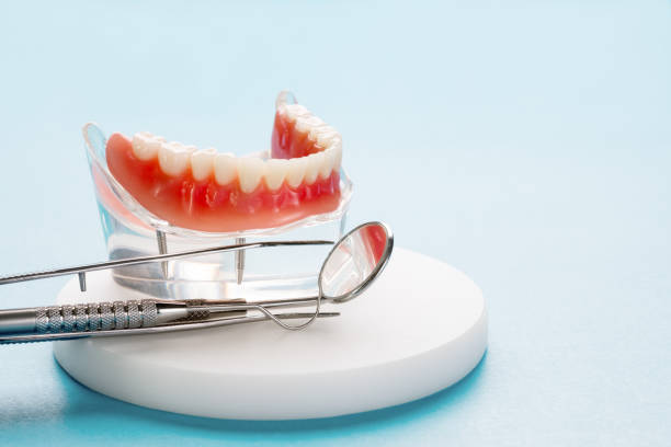 Professional  Holistic Dental Services in Seffner, FL