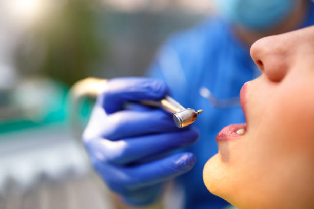  Seffner, FL Holistic Dental Services Pros